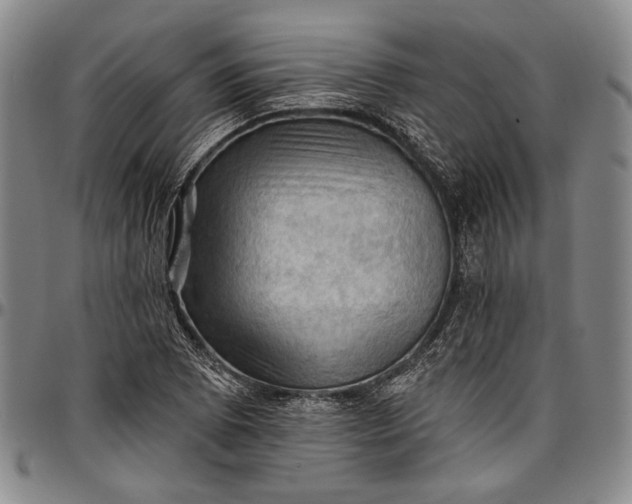 X0000096681073200802191347