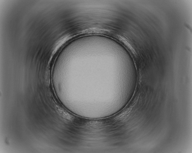 X0000096681075200802191347