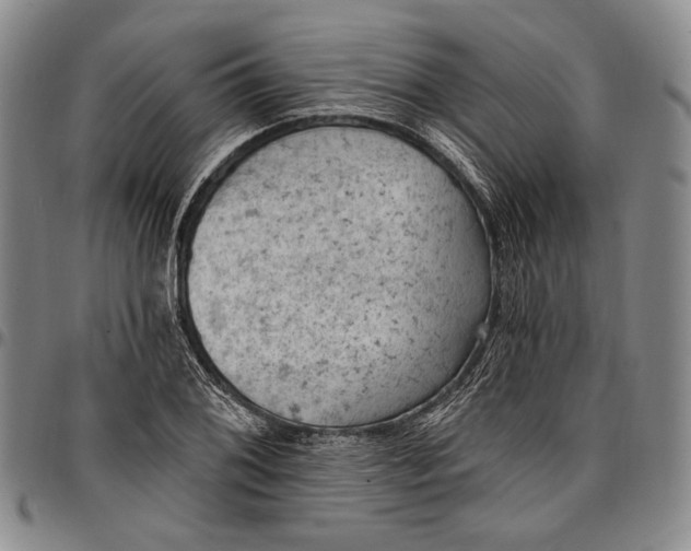 X0000096681076200802191347