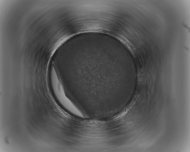X0000096681077200802191347