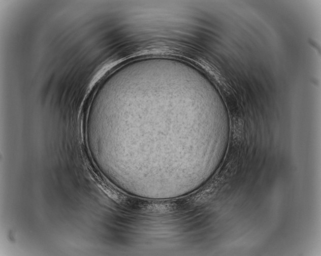 X0000096681078200802191347