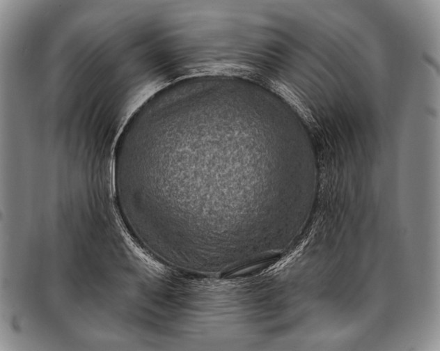 X0000096681079200802191347