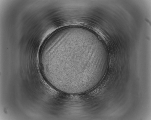 X0000096681080200802191347