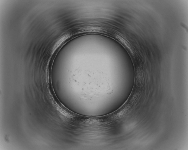 X0000096681082200802191347