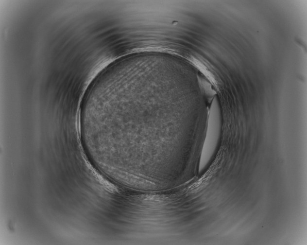X0000096681084200802191347
