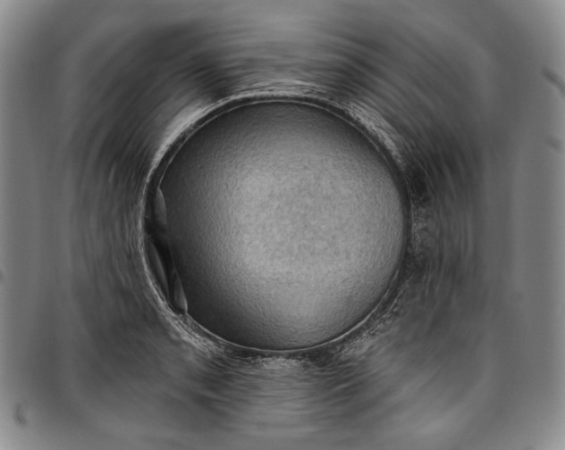 X0000096681085200802191347