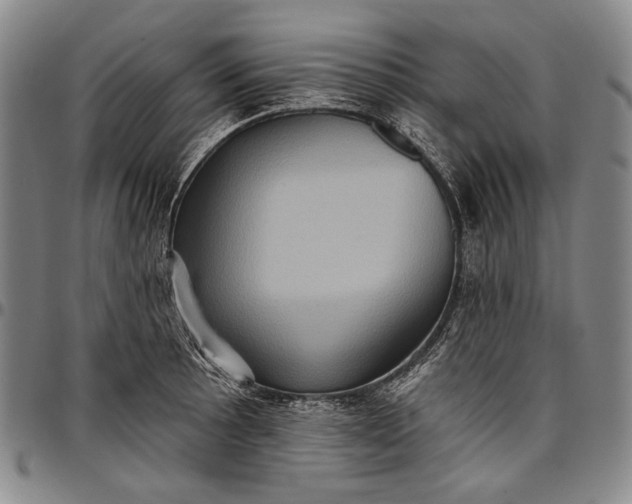 X0000096681089200802191347