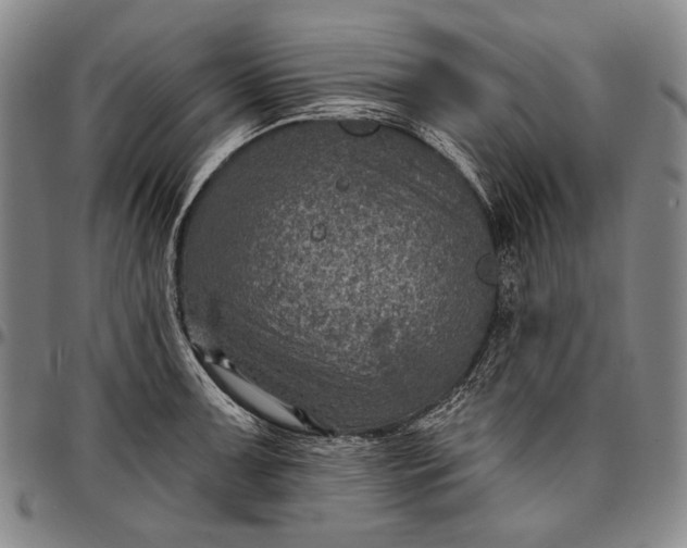 X0000096681091200802191347