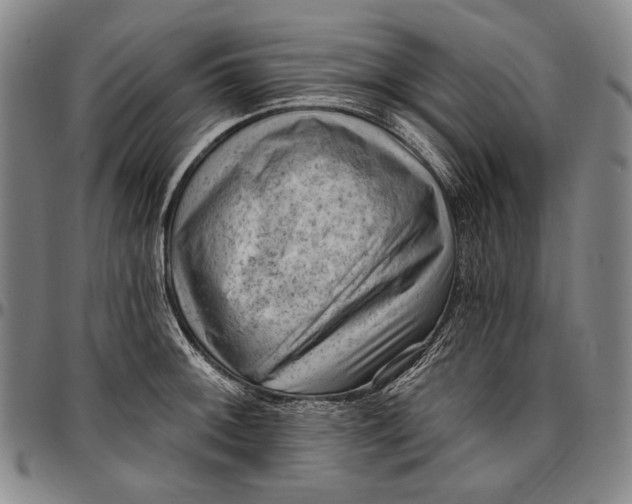 X0000096681092200802191347