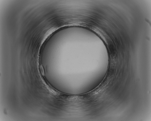 X0000096681093200802191347