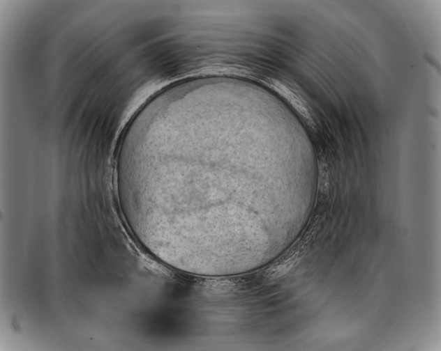 X0000096681094200802191347