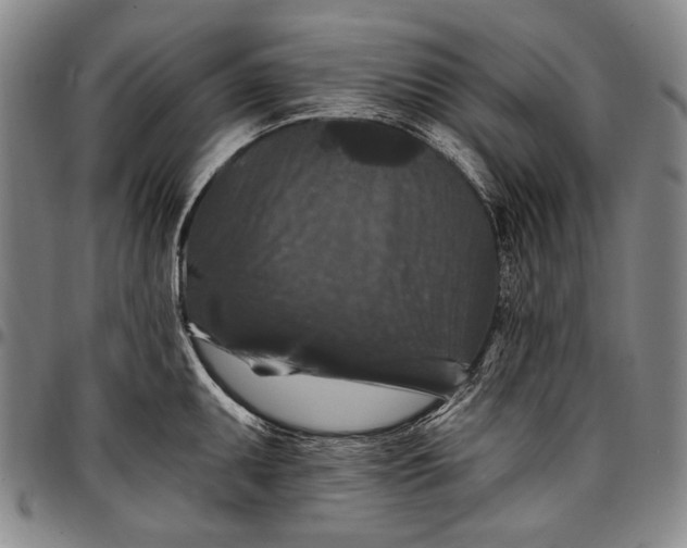 X0000096681095200802191347
