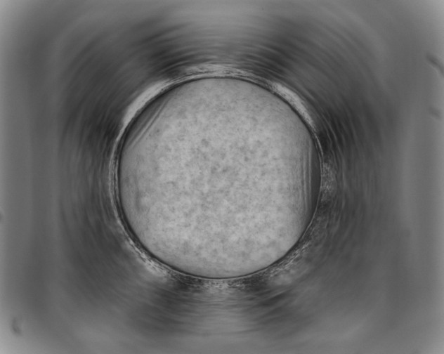 X0000096681098200802191347