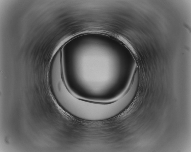 X0000096681101200802191347