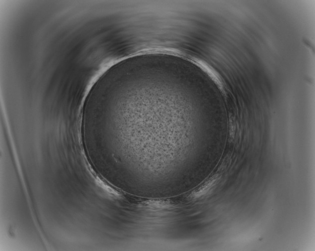 X0000096681102200802191347