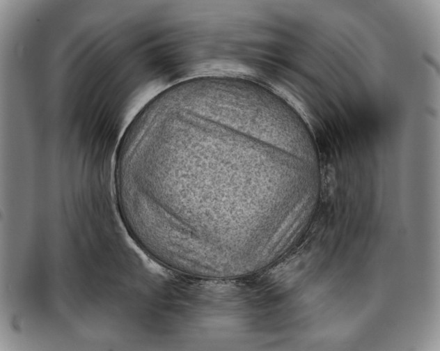 X0000096681103200802191347