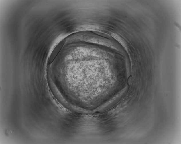 X0000096681104200802191347
