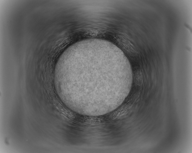 X0000096681105200802191346