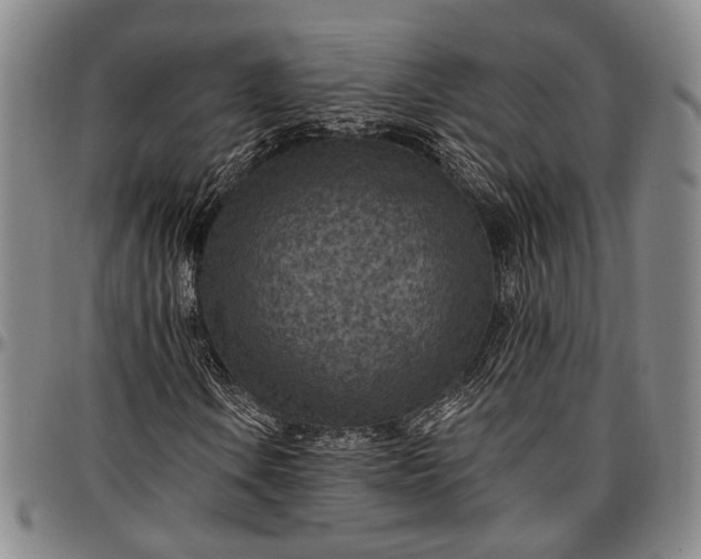 X0000096681106200802191346