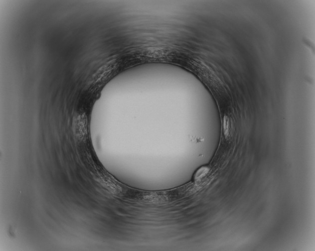 X0000096681107200802191346
