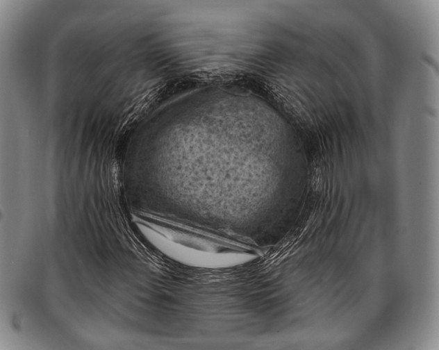 X0000096681108200802191346
