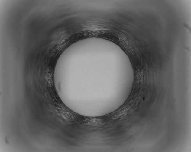 X0000096681109200802191346