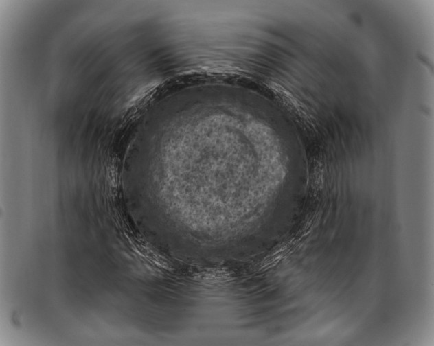 X0000096681110200802191346