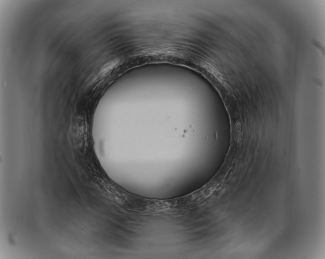 X0000096681111200802191346