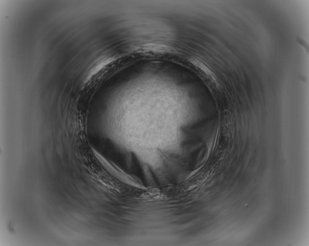 X0000096681112200802191346