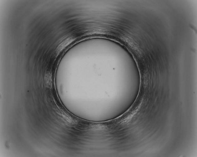 X0000096681113200802191346