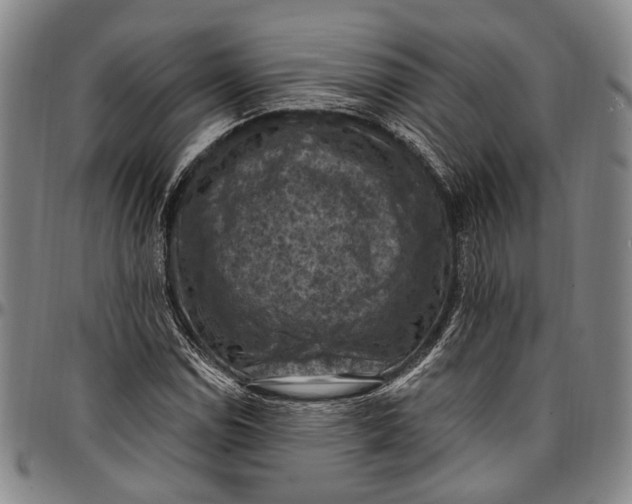 X0000096681114200802191346