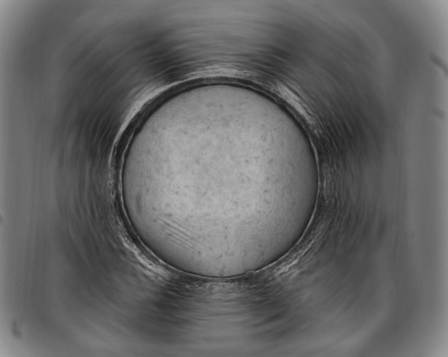 X0000096681116200802191346