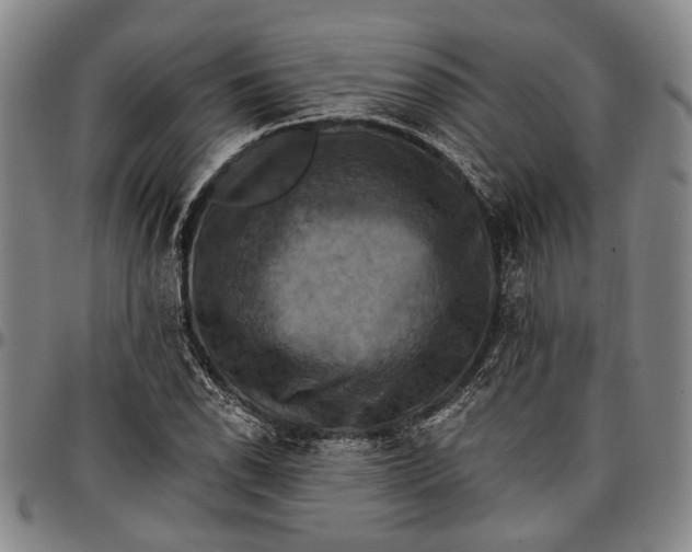 X0000096681118200802191346