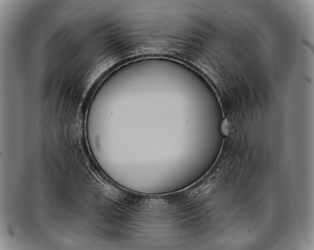 X0000096681119200802191346