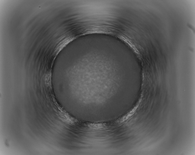 X0000096681121200802191346
