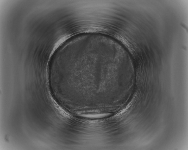 X0000096681122200802191346