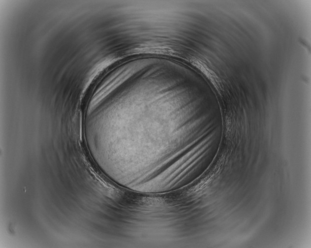 X0000096681123200802191346