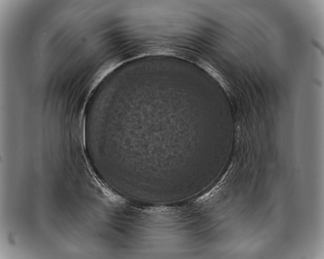 X0000096681127200802191346