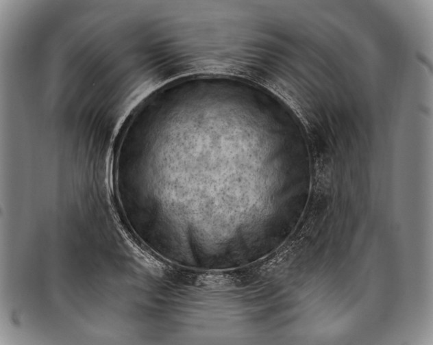 X0000096681128200802191346