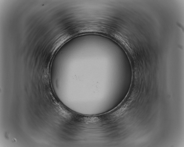 X0000096681129200802191346