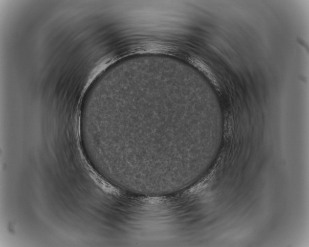 X0000096681130200802191346