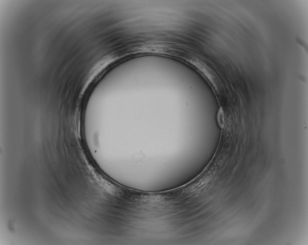 X0000096681131200802191346