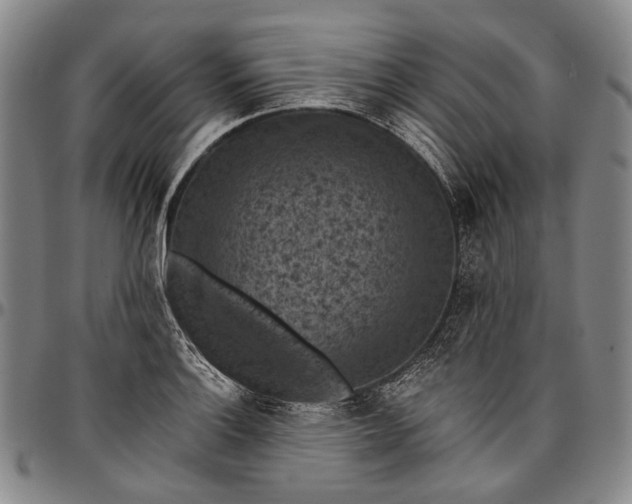 X0000096681132200802191347