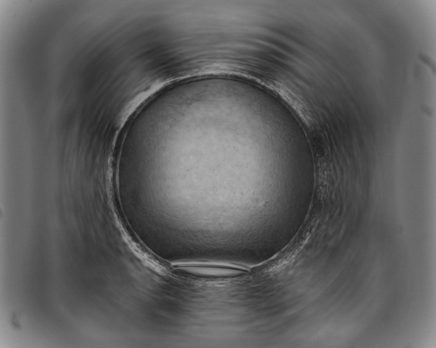 X0000096681134200802191347