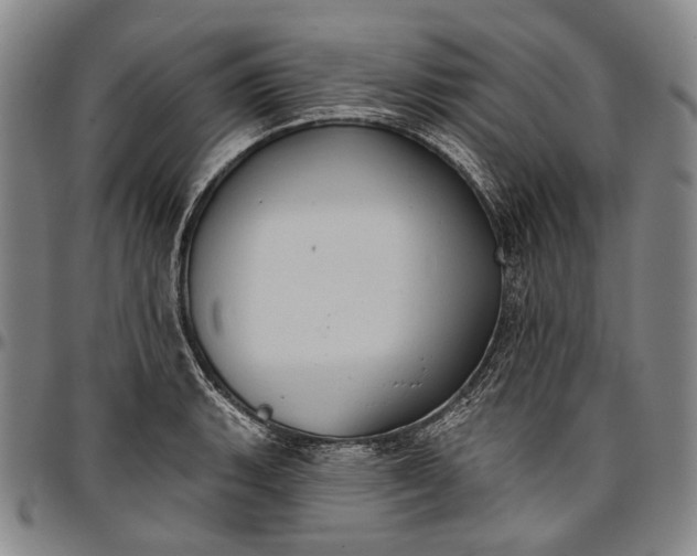 X0000096681135200802191347