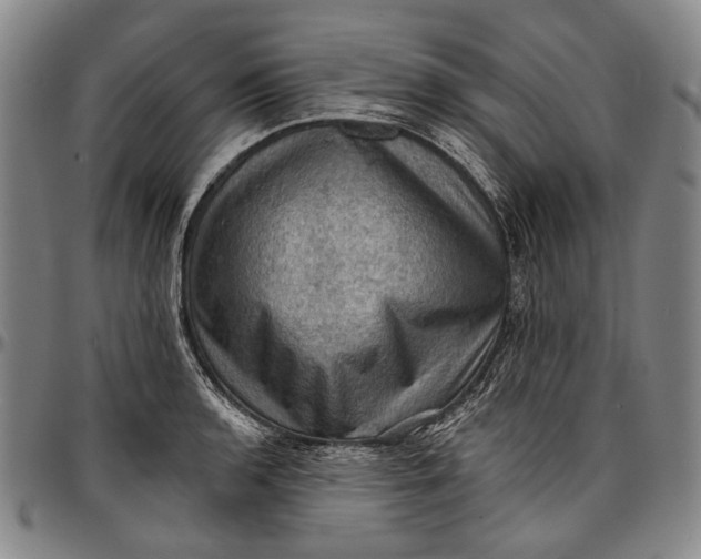 X0000096681136200802191347