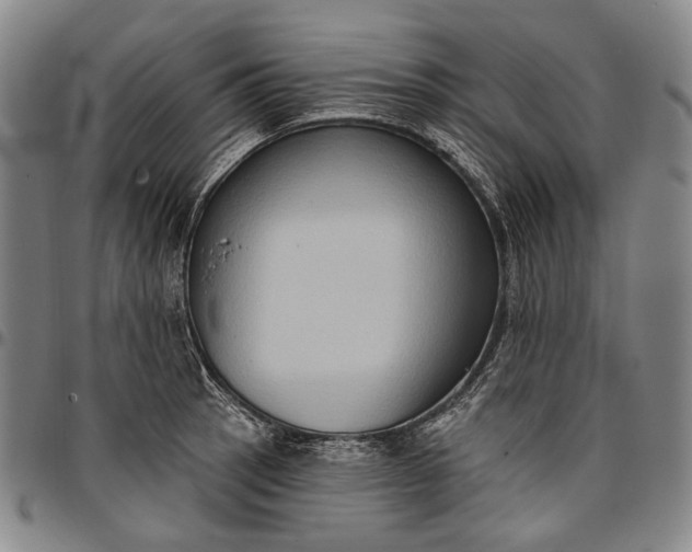 X0000096681137200802191347