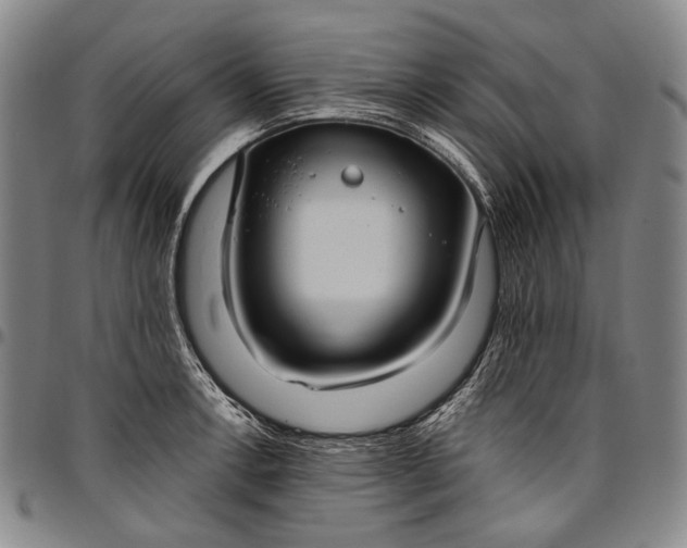 X0000096681138200802191347