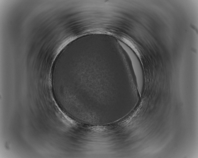 X0000096681141200802191347