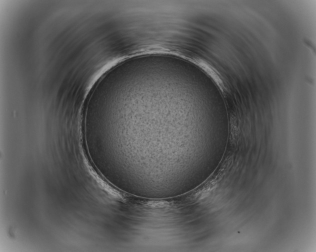 X0000096681142200802191347